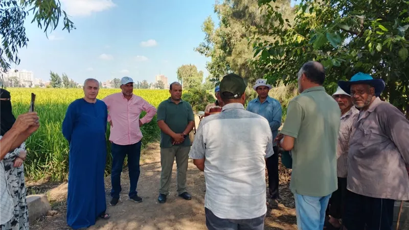 زراعة كفر الشيخ تنظم ندوة حقلية بـ 