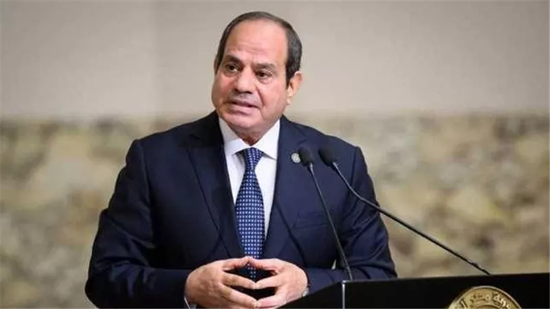 مصر تواصل تطوير مركز إقليمي للحبوب واللوجستيات لتعزيز الأمن الغذائي