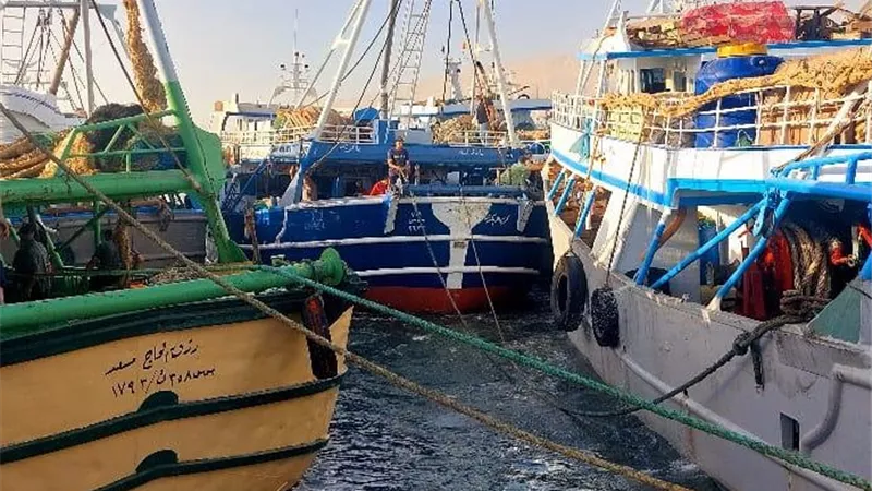 «حماية البحيرات» يعلن بدء موسم الصيد الجديد بخليج السويس من ميناء الأتكة