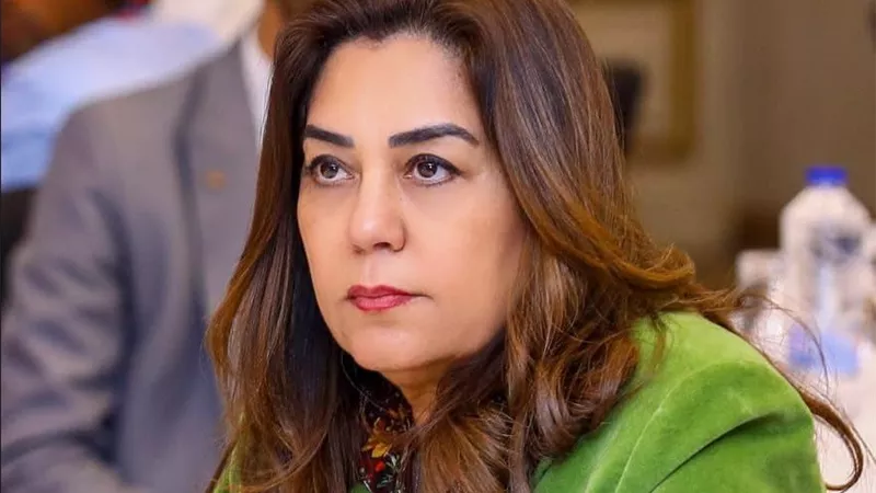 وزارة التنمية المحلية والبيئة تعلن بدء منظومة مواجهة نوبات تلوث الهواء الحادة خلال خريف 2026