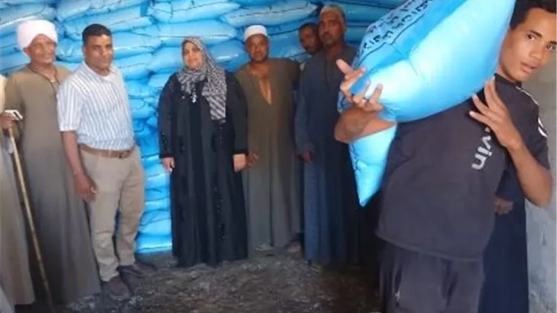 زراعة الأقصر تحقق 80% في حصر المحاصيل الصيفية وتواصل صرف الأسمدة بالجمعيات