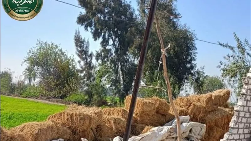 الشرقية تزيل 65 حالة تعدٍ في اليوم السادس من المرحلة الأولى للموجة 30
