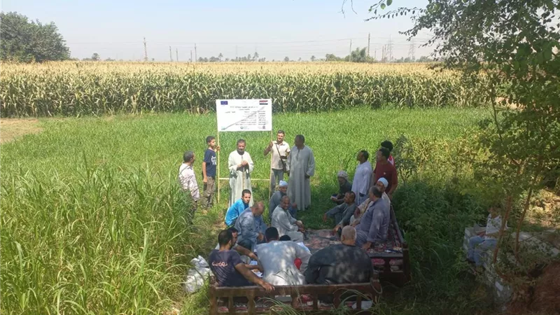 “الزراعة” تتحرك في سوهاج لنشر ثقافة التعاقد على المحاصيل الزيتية وحماية المزارعين من تقلبات الأسعار
