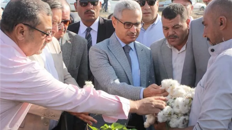 محافظ بنى سويف يفتتح موسم جَنى القطن