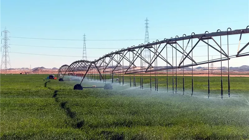 الزراعة تكشف حجم الرقعة الزراعية في مصر.. 10.5 مليون فدان بإجمالي مساحة محصولية 17.5 مليون فدان