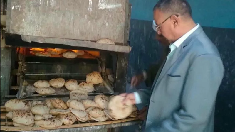 2478 محضرًا خلال شهر.. حملات مكثفة بأسيوط لضبط الأسواق والمخابز