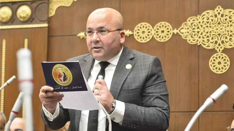 تخضير القاهرة.. نائب بالشيوخ: توجيهات السيسي تعزز الاستدامة وتحسن جودة حياة المواطنين