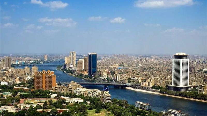 توجيهات السيسي بتخضير القاهرة فرصة لإدارة «الثروة الخضراء»