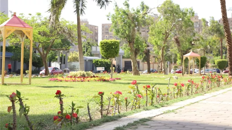 القاهرة الجديدة تواصل تطوير المسطحات الخضراء بطريق السويس ومحور مصطفى كامل