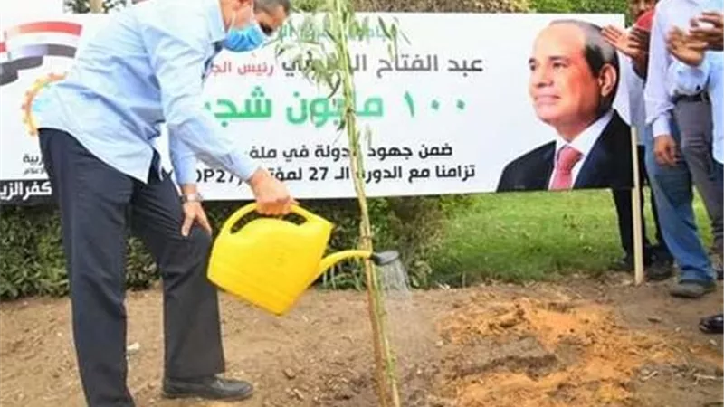 9900 موقع و6600 فدان.. تفاصيل خطة «100 مليون شجرة» لزيادة الرقعة الخضراء