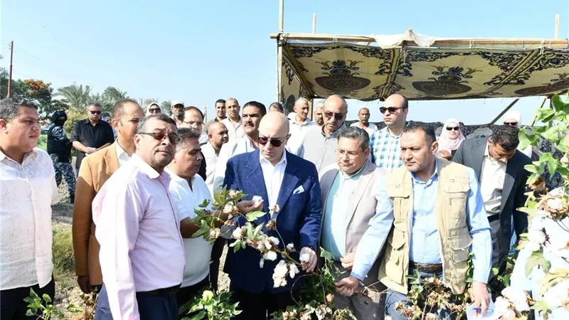 محافظ الفيوم يفتتح موسم جني محصول القطن