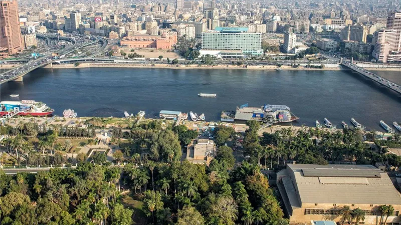 الحكومة تبدأ تنفيذ خطة تخضير القاهرة والتوسع في زراعة الأشجار