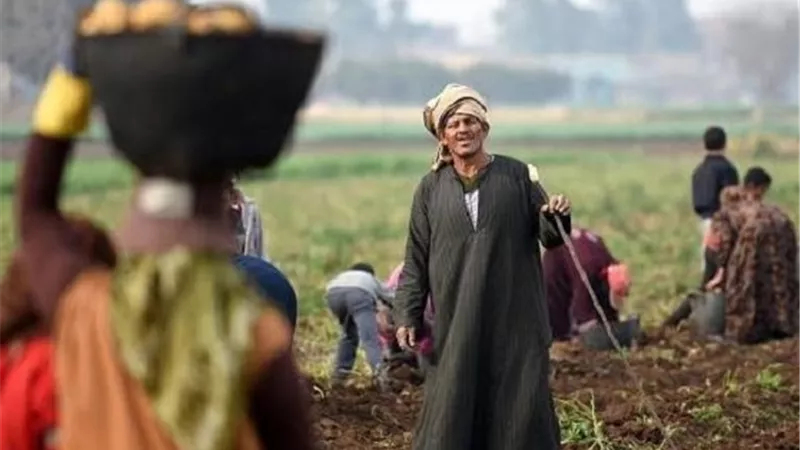 زراعة النواب: المزارع المصري خط الدفاع الأول عن الأمن الغذائي