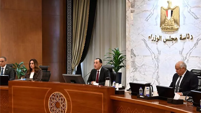 خطة تنفيذية للتشجير تشمل المحاور والطرق الرئيسية ومداخل المدن والقرى