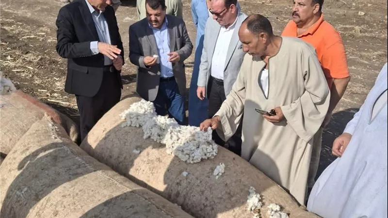 زراعة بني سويف تتابع جاهزية حلقة تسويق القطن بإهناسيا الخضراء