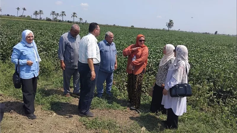 الزراعة تكشف حصاد أغسطس لخدمة المزارعين.. 1245 حملة على محال المبيدات وصادرات زراعية تقترب من 6.9 مليون طن