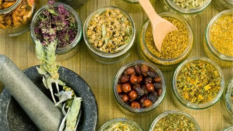 المنيا تتصدر زراعة النباتات الطبية والعطرية.. 34% من إنتاج مصر