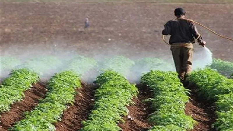المبيدات الفوسفورية العضوية.. تعرف على الآفات المستهدفة والمواد الفعالة