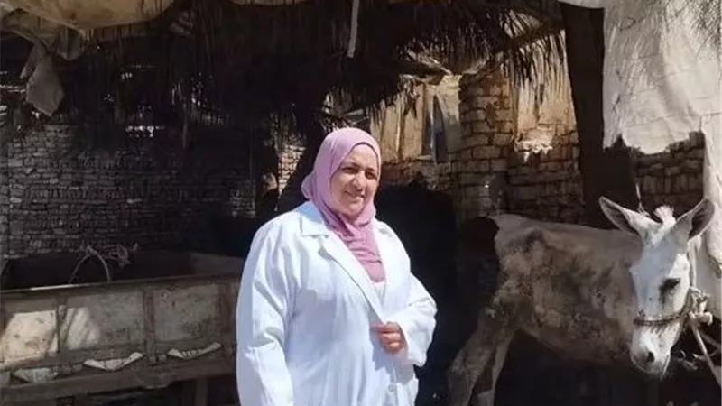 استمرار الحملة القومية لتحصين الماشية ضد الحمى القلاعية والوادي المتصدع بالخانكة