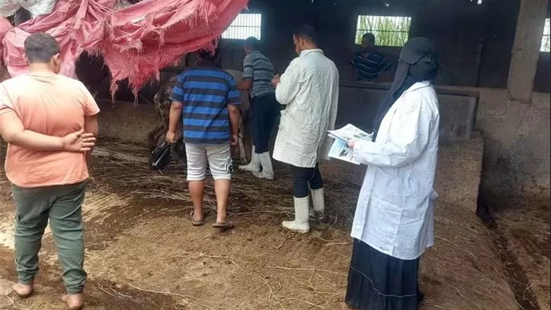 «بيطري دمياط» يواصل تحصين الماشية ضد الحمى القلاعية والوادي المتصدع بكفر سعد