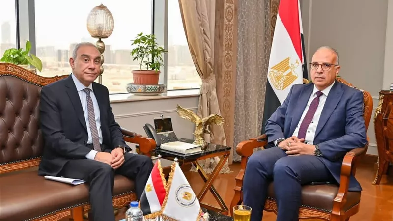 سويلم يبحث مع رئيس «الاستعلامات» تعزيز الرسائل الإعلامية المصرية حول قضايا المياه محليًا ودوليًا