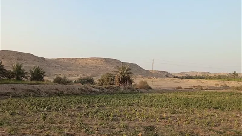 مداهمات أسوان تكشف تحول الري بالرش من زراعة الطماطم إلى معقل للسلاح والمخدرات والذهب