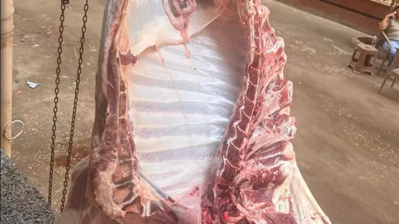 حملات “الطب البيطري” تضبط 2.6 طن من اللحوم والدواجن الفاسدة والمخالفة بالقاهرة