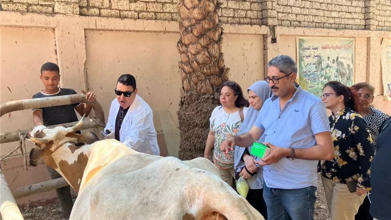ورشة عمل بالمنيا لتعزيز مكافحة الأمراض المشتركة ورفع كفاءة فرق الطب البيطري
