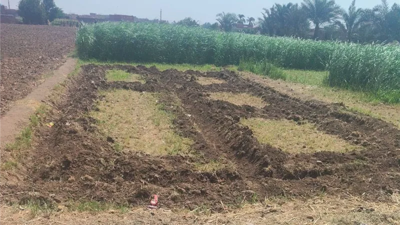 زراعة الجيزة ترصد أساسات بناء مخالفة بالعياط وتردمها قبل استكمال التعدي