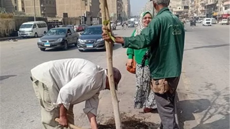 مستشار التنمية المحلية الأسبق: عدم التخصص أهدر ملايين الأشجار 
