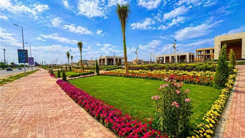 70 ألف شجرة حاليًا.. مدينة الشروق تستهدف زيادة المساحات الخضراء