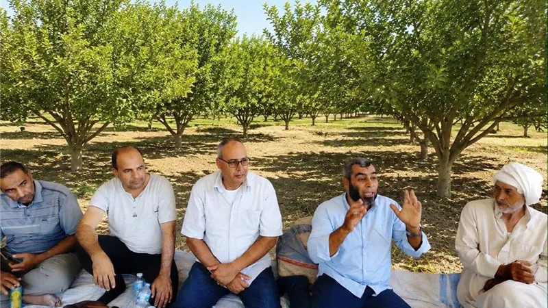 «الزراعة» تتحرك لحماية الأراضي ودعم المزارعين.. إزالة 52 تعديًا وتنفيذ 60 نشاطًا إرشاديًا خلال سبتمبر