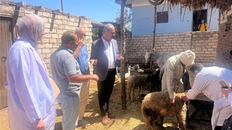 الخدمات البيطرية: تحصين أكثر من 907 آلاف جرعة ضد الحمى القلاعية والوادي المتصدع بالشرقية