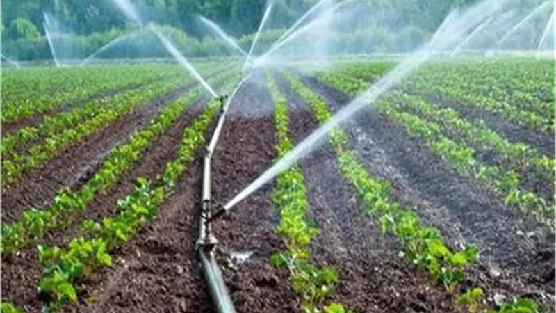 وزير الزراعة: الري الحديث يوفر 30% من المياه والأسمدة والصوب الذكية ترفع الإنتاجية 5 أضعاف