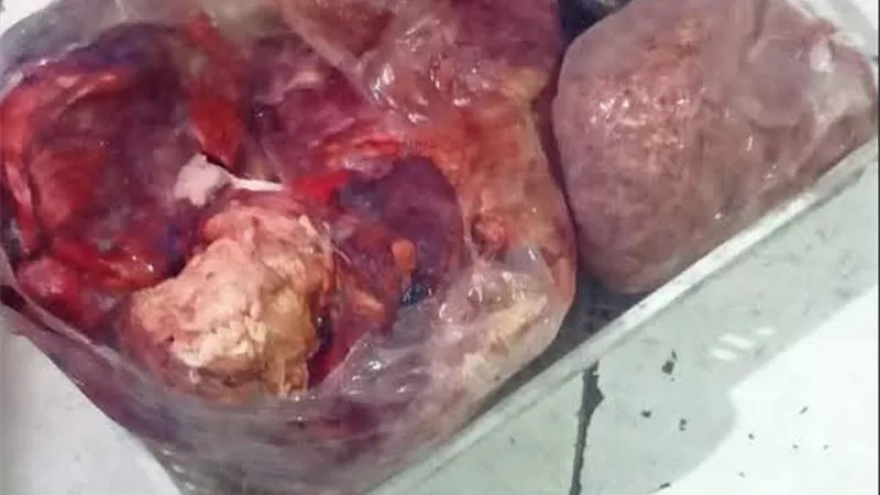 الخدمات البيطرية: ضبط 220 كجم من اللحوم غير الصالحة للاستهلاك الآدمي بدمياط