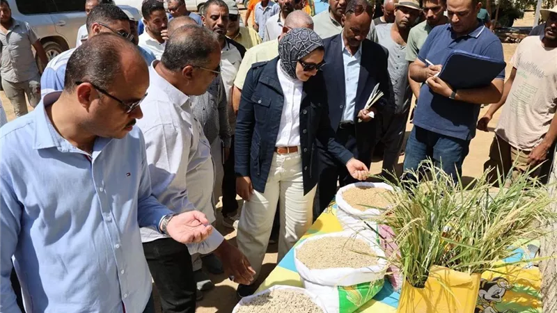 محافظ الوادي الجديد تتفقد عددًا من المشروعات الاستثمارية الزراعية ببحيرة باريس 