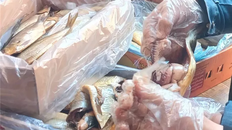 الطب البيطري بالغربية: ضبط 443.7 كجم من اللحوم والدواجن والأسماك المخالفة بالغربية