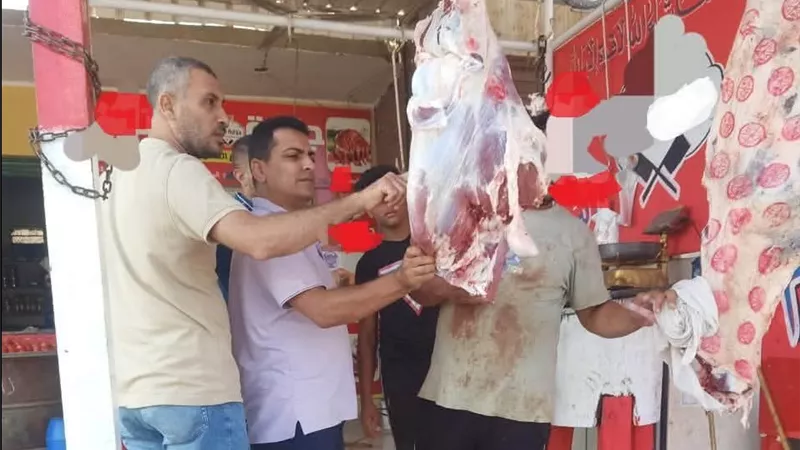 الكندوز البلدي بـ 450 جنيهًا.. أسعار اللحوم اليوم الأربعاء 23 سبتمبر 2026 بالأسواق والمنافذ