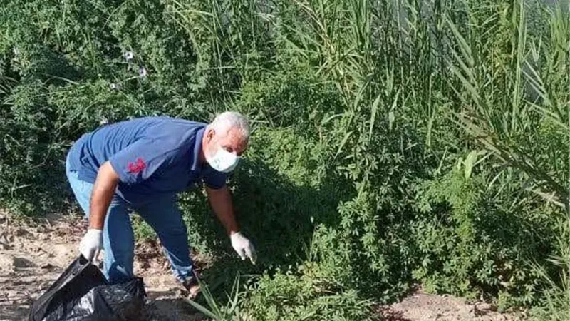 زراعة المنوفية تواصل مكافحة القوارض.. توزيع الطعوم لحماية المحاصيل الزراعية