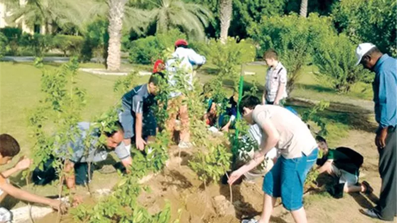 التوسع في المساحات الخضراء.. زراعة وتكويد أشجار جديدة بشارع ترسا ضمن اتحضر للأخضر بالجيزة