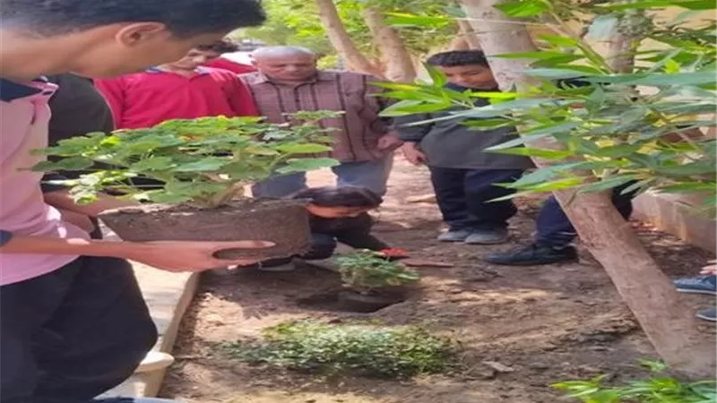 غرس القيمة الأخلاقية والبيئية.. تدريب الطلاب على زراعة النباتات وتشجير المدارس بـ 10 أحياء بالجيزة