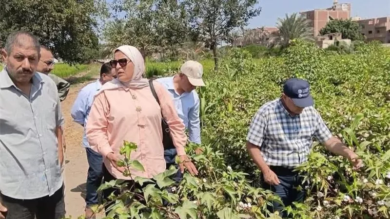 الزراعة بالشرقية تتابع الأنشطة الزراعية وتعظيم الاستفادة من قش الأرز ومخلفات العنب والنخيل