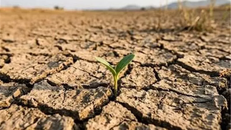  شريف الجبلي: 1.3 مليار دولار مساعدات غير تمويلية للقطاع الخاص ضمن اتفاقية مكافحة التصحر