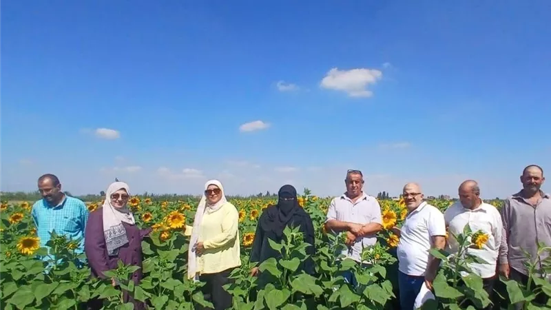 جولة حاسمة على الزراعات بالقنطرة شرق.. متابعة القطن وبنجر السكر ودوار الشمس ميدانيًا