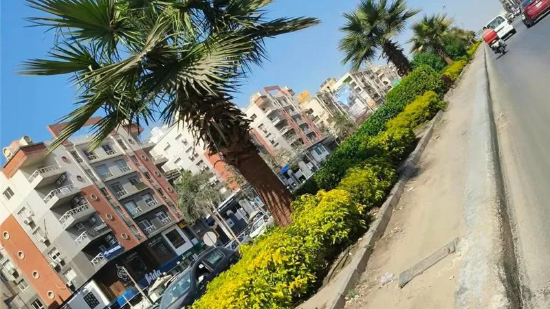 6 أكتوبر تواصل أعمال الزراعة والتنسيق للحفاظ على المظهر الحضاري