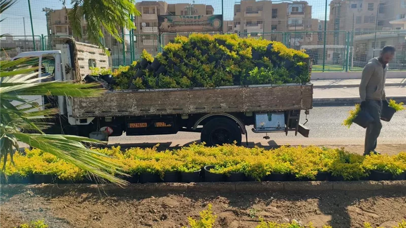 رئيس جهاز الشروق يتفقد أعمال الزراعة والتجميل بالحى الثالث والتاسعة عمارات وإسكان المستقبل