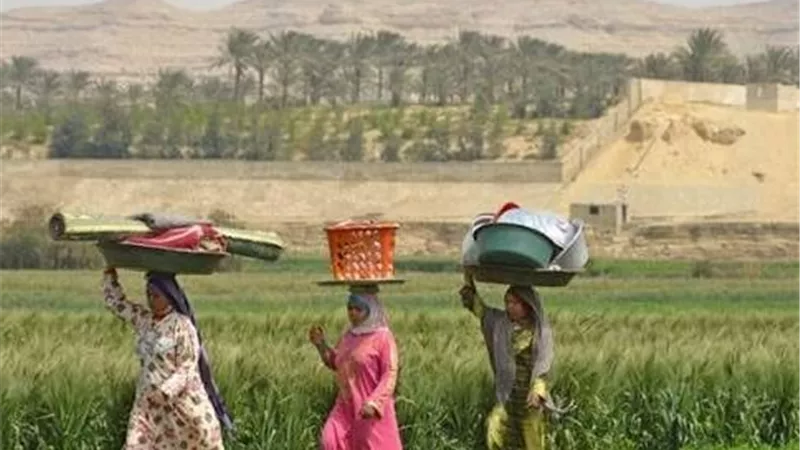 زراعة بني سويف: مبادرة «قرية منتجة» تستهدف التمكين الاقتصادي لأهالي القرى