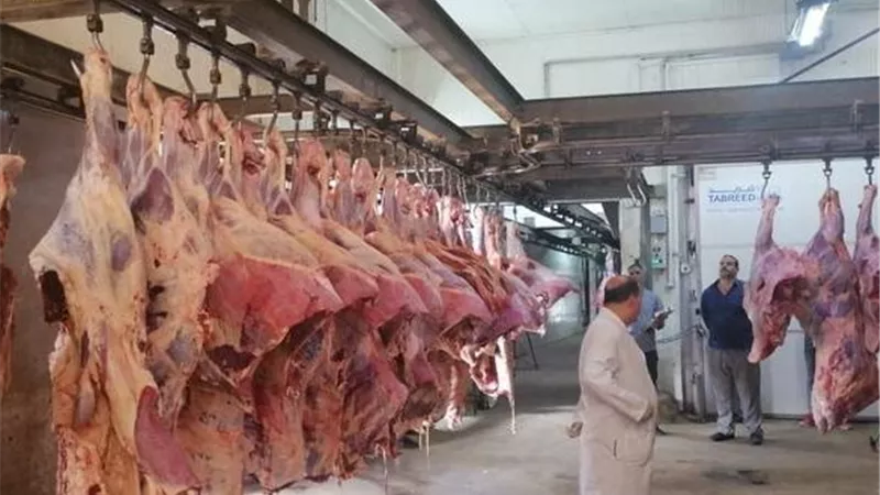الزراعة تحول مجزر شوني بالغربية من يدوي إلى نصف آلي بقرار وزاري