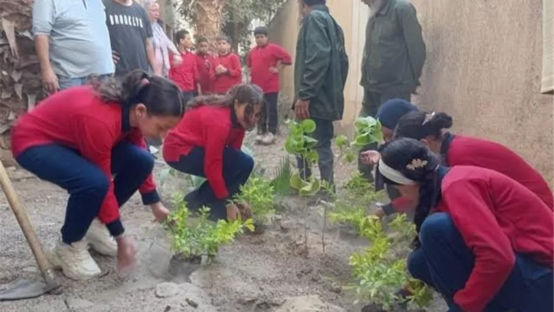 الجيزة توسع مبادرة «اتحضر للأخضر» لتدريب الطلاب على الزراعة والتشجير