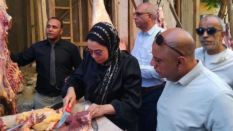 بيطرى المنيا: ضبط 1.5 طن لحوم ودواجن ومنتجاتها وتحرير 10 محاضر خلال أسبوع